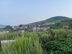 -广鹿岛景区
