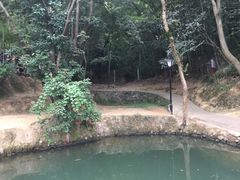 -韶山毛泽东同志故居