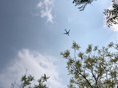-东郊湿地公园