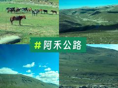 -新疆那拉提国家旅游度假区