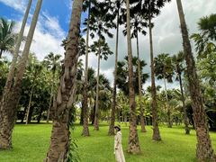 -中国科学院西双版纳热带植物园