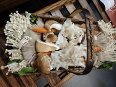 -南门四季铜锅涮肉(左家庄店)