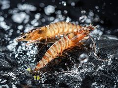 -鑫鸿达·海鲜闽菜热炒小馆(中山路店)