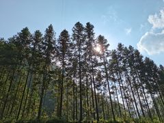 -狮子关旅游区
