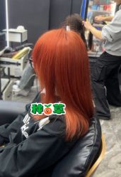 -藤野造型