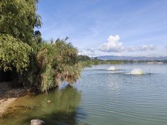 -重庆彩云湖湿地公园