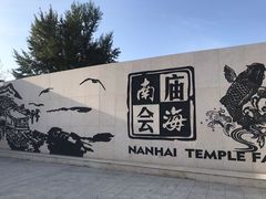 -包头南海湿地景区