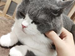 -猫和宫(六道口店)