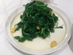 清炒豌豆尖-眉州东坡(远洋未来广场店)