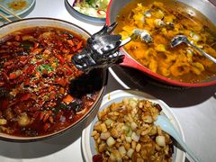 -雲蜀龙阁·金牌水煮鱼(方庄店)