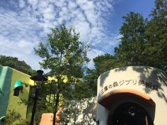 -三鹰之森吉卜力美术馆