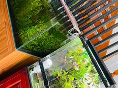 -繁花足道(梅江店)