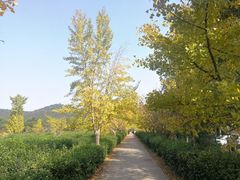 -悦禧耕岛酒店·指月坞餐厅·旺山特色农家乐
