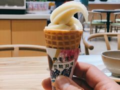-田素(稻田创业小镇店)