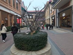 -王府井奥莱临潼小镇(临潼店)