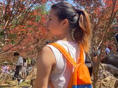 -广州市帽峰山景区