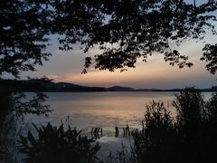 -贡湖湾湿地公园