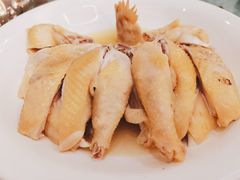 -鹭园酒家·四十年老字号