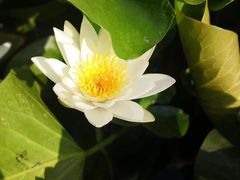-前关湿地公园