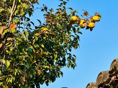 -承恩寺