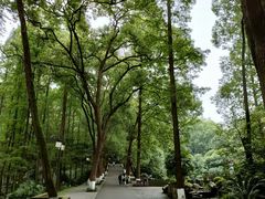 -忠山公园