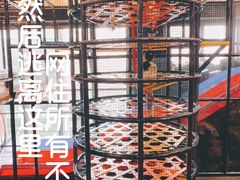 -VFSC极限蹦床主题公园(乐园道彩悦城阳光店)