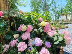 -武汉园博园(武汉自然博物馆)