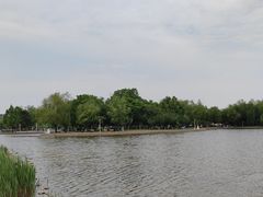 -泰丰公园
