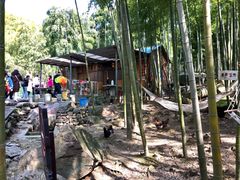 -众神白水涧景区