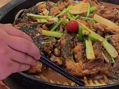 -老板恋上鱼(恒隆广场店)