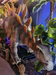 点击看大图 -恐龙探索乐园(磁器口店)