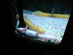 -洛阳龙门海洋馆