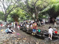 -成都市活水公园