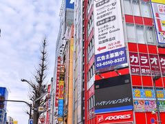 -秋叶原电器街