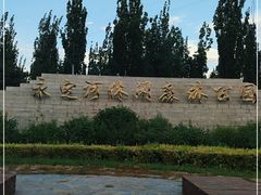 -永定河休闲森林公园