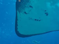 -亚龙湾海底世界