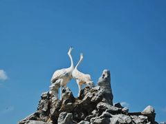 -黑龙江扎龙生态旅游区