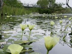 -上海植物园-4号门售票处