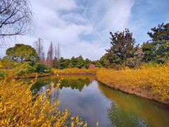 -上海滨江森林公园