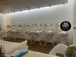 -海豚湾高端月子会所(黄浦店)