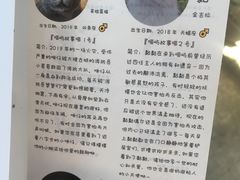 -喵屿·大理花园猫咖