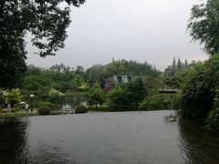-成飞公园
