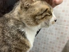 -玉椰林甜品店(创始店)