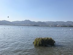 -海埂大坝