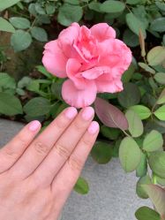 -Pink You美甲美睫纹绣定制中心