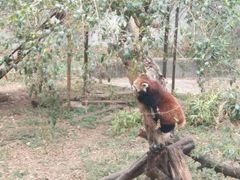 -昆明动物园