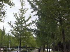 -浙江农林大学(东湖校区)