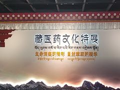 -广东中医药博物馆