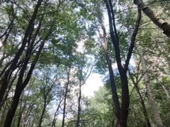 -玉渡山风景区-售票处