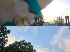 -山东大学体育馆